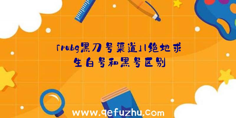 「pubg黑刀号渠道」|绝地求生白号和黑号区别